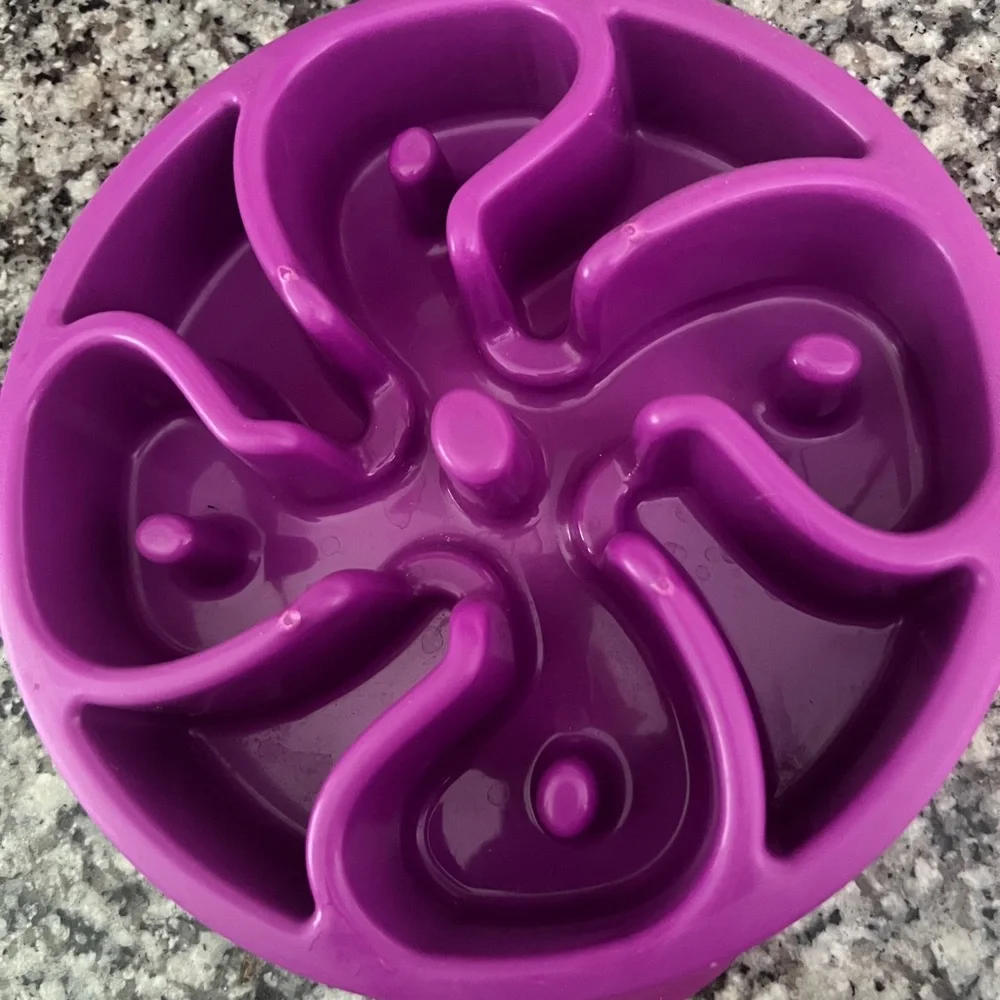 Purple Slow Feeder Dog Bowl